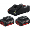 Bosch 1.600.A01.9S0