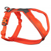 Non-stop dogwear LINE 5.0 postroj oranžový - 6