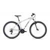 CTM REIN 1.0 29 2023