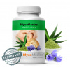 MycoMedica, MycoGASTRO - žalúdok, 90 g (Kombinácia Hericia, aloe vera, chlorelly a sladkého drievka)