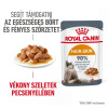 Royal Canin Hair & Skin Care - vlhké krmivo v omáčke pre dospelé mačky pre lepšiu srsť a zdravú kožu 12 x 85 g