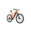 Leader Fox ARIMO 29 ZADNÍ MOTOR 2024