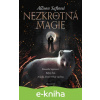 E-kniha Nezkrotná magie - Allison Saft
