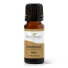 Plant Therapy Kidsafe Patchouli esenciálny olej 10 ml