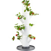 GUSTA GARDEN GG-100569