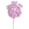 Canea Hortenzie 62 cm - růžovofialová