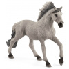 SCHLEICH Horse Club® 13915 Hřebec Sorraia Mustang