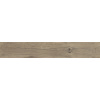 BALDOCER Ceramicas Northwood Elm 26x160 R Tmavo hnedá