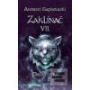 Zaklínač VII. - Paní jezera (Andrzej Sapkowski)