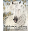 Andalusians & Lusitanos Iberian Horses - Gabriele Boiselle
