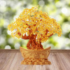 Peniaze stromu Feng Shui (Peniaze stromu Feng Shui)