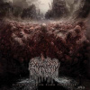 Exhaurity - ELUCIDATIONS ON FLESH ... (11 CD)