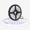 Solight 12V 2835 120LED/m IP20 max. 10W/m biela studená (cievka 5m) WM610