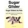 Sugar Glider. Sugar Gliders As Pets. Sugar Gliders book for care, feeding, diet, health and costs. (Celeste Truman)(Brožovaná)