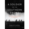 Soldier on the Southern Front