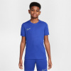 Nike Academy Top Juniors Blue/Purple 7-8 rokov