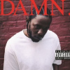Lamar Kendrick - Damn / Vinyl / 2LP [2 LP]