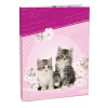 Box na zošity A4 Kitten STIL