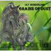 Grains of Dust (e-book v .doc a .html verzii) - Lily Wonderland