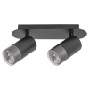 Rabalux ZIRCON 5070 prisadené bodové svietidlo max. 2x5W | GU10 - čierna, strieborná