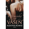 Vzpomínky na vášeň - Aleatha Roming