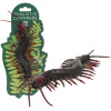 Rex London Realistic centipede toy uni