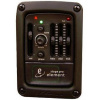 L.R. Baggs StagePro ELEMENT