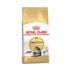 Granule pre mačky RC Maine Coone 31 10 kg