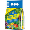 FORESTINA HORKÁ SOĽ 2,5KG