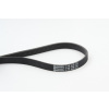 CONTINENTAL CTAM Ozubený klinový remeň 6PK1548