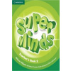 Super Minds Level 2 Teacher's Book