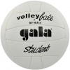 GALA volejbalu Študent - BP 5033 S