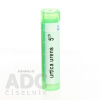 Urtica Urens gra.1 x 4 g 5CH