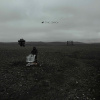 NF - THE SEARCH (1CD)