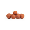 Boilies Sportcarp Spicy Krill - korenistý krill Prevedenie: Boilies 18mm - 250g