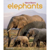 Elephants - Steve Bloom, David Henry Wilson