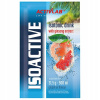ACTIVLAB Iso Active 31.5 g
