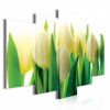 Obraz na plátne viacdielny - OB3758 - Žlto biele tulipány 100cm x 60cm - S17