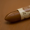 OLEJOVÝ PASTEL - SENNELIER | 037 RAW SIENNA
