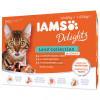 Iams Cat Multibox zo suchozemského mäsa 12 x 85 g