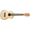 Cascha HH 2151 Concert Mahogany Ukulele Set