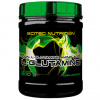 Scitec Nutrition L-Glutamine 600 g