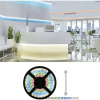 Paulmann MaxLED 500 71044 LED pásik rozšírenie konektor 24 V 10 m RGBW; 71044