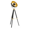EGLO Stojaca lampa COVALEDA 1,64 49618 Vintage Eglo EG_49618 prodloužená záruka na 2 roky