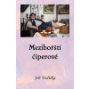 Mezibořští čiperové - Jiří Vodička