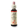 bachova esence č. 25 RED CHESTNUT - Červený kaštan (originální bachovy esence z Anglie - vyráběno od roku 1939 - balení kapky 20 ml ve skle s kapátkem, konzervováno v alkoholu 27 %)