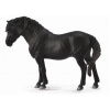 Collecta zvieratá Collecta Dartmoor pony - čierny