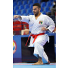 TOKAIDO KATA MASTER TOKYO WKF APPROVED MADE IN JAPAN Velikost: 195