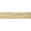 Stn Dlažba Baldai roble 20x120 cm mat BALDAI2312RO