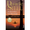 Náhodní hrdinovia - Danielle Steel